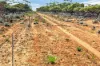 Gilles Downs Station Eyre Highway, IRON KNOB SA 5611-Image