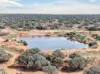 Gilles Downs Station Eyre Highway, IRON KNOB SA 5611-Image