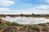 Gilles Downs Station Eyre Highway, IRON KNOB SA 5611-Image