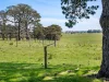 - Glenelg Highway, Warrayure, Vic 3301-Image