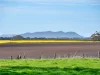 - Glenelg Highway, Warrayure, Vic 3301-Image