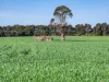 - Hamilton Port Fairy Road, Byaduk, Vic 3301-Image