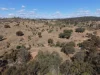 "Hidden Waters" 1944 Yarrol Road, Monto, Qld 4630-Image