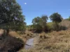 "Hidden Waters" 1944 Yarrol Road, Monto, Qld 4630-Image