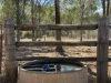 "Hidden Waters" 1944 Yarrol Road, Monto, Qld 4630-Image