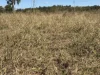 "Hidden Waters" 1944 Yarrol Road, Monto, Qld 4630-Image