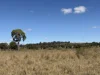 "Hidden Waters" 1944 Yarrol Road, Monto, Qld 4630-Image