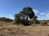 "Hidden Waters" 1944 Yarrol Road, Monto, Qld 4630-Image
