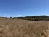 "Hidden Waters" 1944 Yarrol Road, Monto, Qld 4630-Image