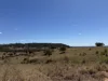 "Hidden Waters" 1944 Yarrol Road, Monto, Qld 4630-Image