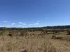 "Hidden Waters" 1944 Yarrol Road, Monto, Qld 4630-Image