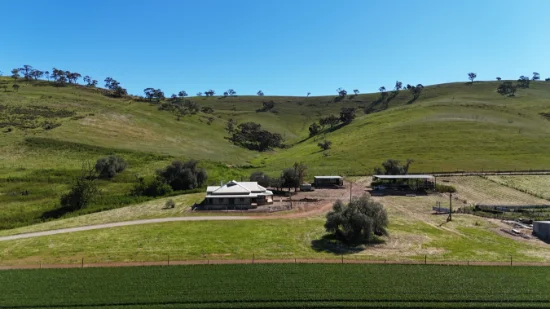 'Hillside' 395 Campbell Range Road, Washpool, SA 5454