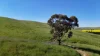 'Hillside' 395 Campbell Range Road, Washpool, SA 5454-Image