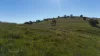 'Hillside' 395 Campbell Range Road, Washpool, SA 5454-Image