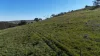 'Hillside' 395 Campbell Range Road, Washpool, SA 5454-Image