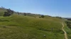 'Hillside' 395 Campbell Range Road, Washpool, SA 5454-Image