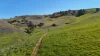 'Hillside' 395 Campbell Range Road, Washpool, SA 5454-Image