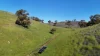 'Hillside' 395 Campbell Range Road, Washpool, SA 5454-Image
