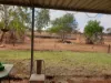 Koonmarra  Station, Meekatharra, WA 6642-Image