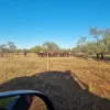 Koonmarra  Station, Meekatharra, WA 6642-Image