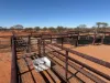 Koonmarra Station, Meekatharra WA 6642-Image