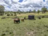 L63 & L99 Summers Road, Ginoondan, Qld 4625-Image