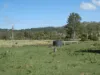 L63 & L99 Summers Road, Ginoondan, Qld 4625-Image