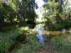 L63 & L99 Summers Road, Ginoondan, Qld 4625-Image