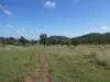 L63 & L99 Summers Road, Ginoondan, Qld 4625-Image