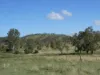 L63 & L99 Summers Road, Ginoondan, Qld 4625-Image