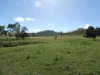 L63 & L99 Summers Road, Ginoondan, Qld 4625-Image