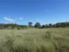 L63 & L99 Summers Road, Ginoondan, Qld 4625-Image