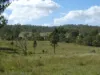 L63 & L99 Summers Road, Ginoondan, Qld 4625-Image