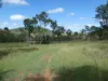 L63 & L99 Summers Road, Ginoondan, Qld 4625-Image