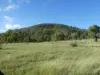 L63 & L99 Summers Road, Ginoondan, Qld 4625-Image