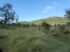 L63 & L99 Summers Road, Ginoondan, Qld 4625-Image