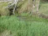 L63 & L99 Summers Road, Ginoondan, Qld 4625-Image