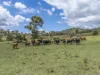 L63 & L99 Summers Road, Ginoondan, Qld 4625-Image