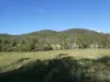 L63 & L99 Summers Road, Ginoondan, Qld 4625-Image