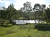 L63 & L99 Summers Road, Ginoondan, Qld 4625-Image