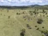 L63 & L99 Summers Road, Ginoondan, Qld 4625-Image