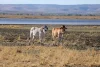 Legune Street, Baines, NT 0852-Image