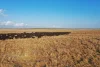 Legune Street, Baines, NT 0852-Image