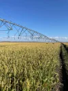 Legune Street, Baines, NT 0852-Image