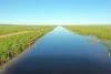 Legune Street, Baines, NT 0852-Image