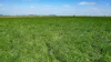 'Leigrand' Willatook-Warrong Road, Willatook, Vic 3283-Image