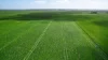 'Leigrand' Willatook-Warrong Road, Willatook, Vic 3283-Image