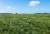 'Leigrand' Willatook-Warrong Road, Willatook, Vic 3283-Image