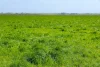 'Leigrand' Willatook-Warrong Road, Willatook, Vic 3283-Image