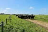 'Leigrand' Willatook-Warrong Road, Willatook, Vic 3283-Image